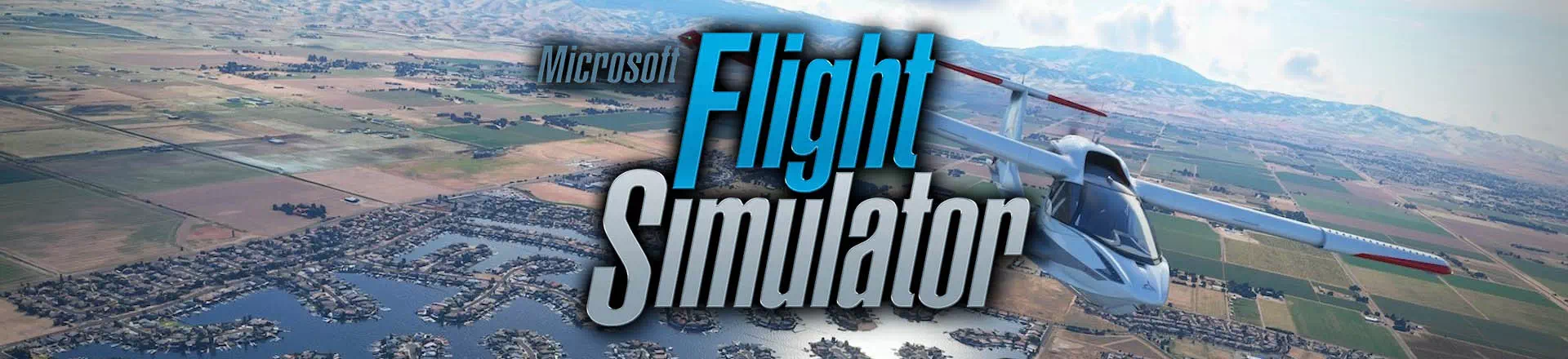 Flight Simulator